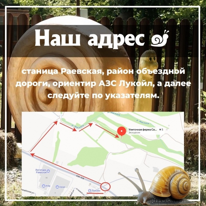 Туристы наслаждаются захватывающими видами снежных вершин, создающими атмосферу умиротворения и гармонии
